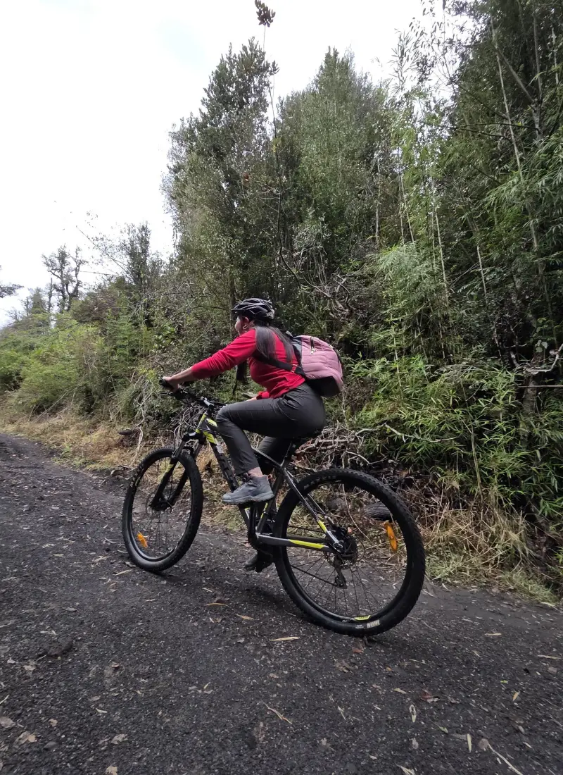 Arrienda y recorre el Parque en Bicicleta - Parque Huishue