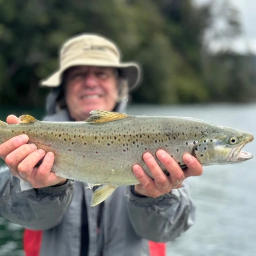 Parque Huishue - Pesca Orilla 2