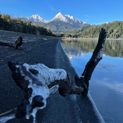 Ven al Parque Huihue Sur de Chile
