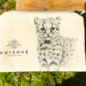 estuche